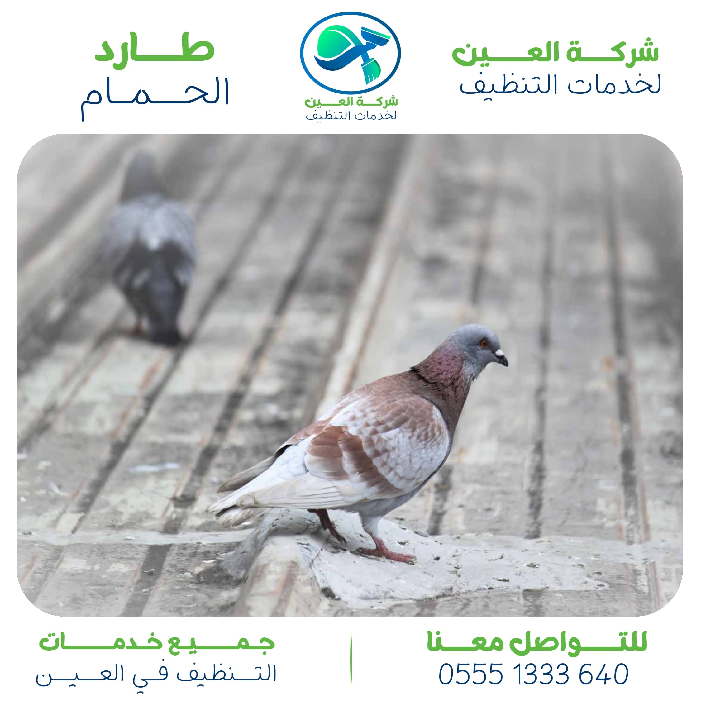 تعرف على أفضل شركة طارد الحمام العين وأهم خدماتها